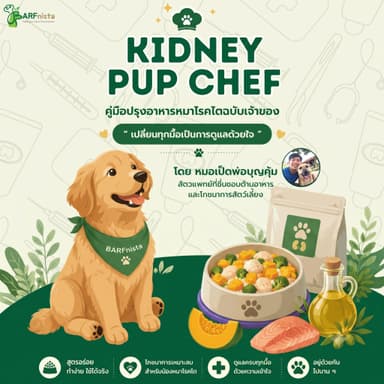 Kidney Pup Chef